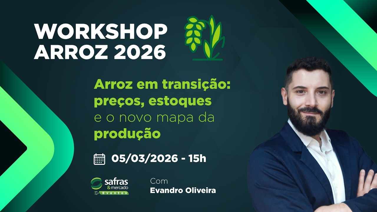 Arroz em transição: preços, estoques e o novo mapa da produção