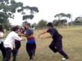 videos de feuCrew - Random Dog Pile