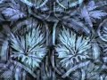 video by anita leib for the song transparency taken from the album transparencies by plumbline & roger eno.  album released on hydrogen dukebox.