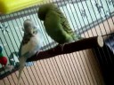 Maya and Migual playing