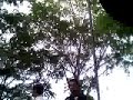 mireyabeltranro1's webcam video vie 19 mar 2010 14:40:53 PDT