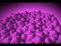 Quasicrystal