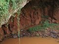 El dorado-Misiones