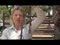 Horse Bits & Bridles : Shank Snaffle Horse Bits With a Roller Horse Bits & Bridles : Shank Snaffle Horse Bits With a Roller