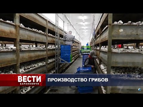 Вести Барановичи 31 июля 2020.