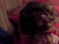 videos de habla1