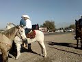 Caballos. Cabalgata 2 San Miguel 061209.mp4