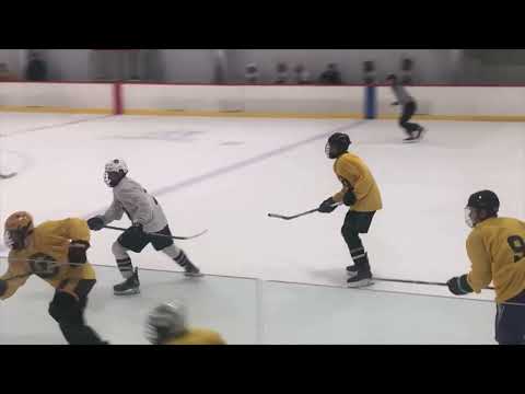 Nicholas Parikh Hockey Clips 2022