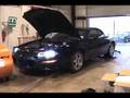 Dyno Pull