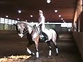 D.6   PETERS & BROWN-FOY (FOURTH LEVEL)