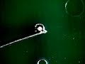 Lead Free Through Hole Soldering Tips | B.E.S.T Corporation