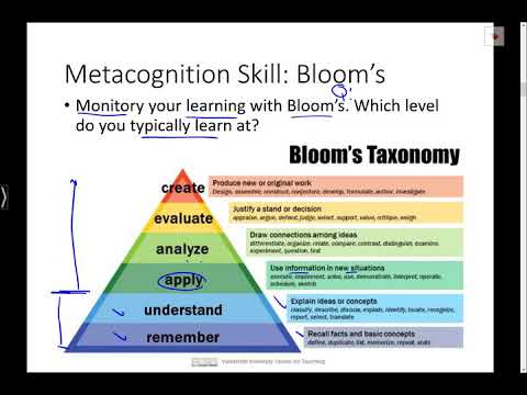 Metacognition Skills Learning to Learn