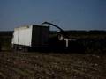 RV Claas Jaguar 690+Scania carregando silage de milho