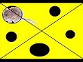 Eye Test