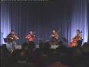 Violina Folk Violina Folk