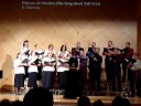Riznica: Golema ch'chkalica, D. Velickovic