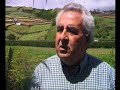 O Toiro da ilha lilaz?