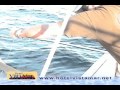 Ver Video