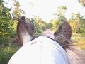 Bo en ik op de Rucphense Heide