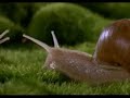 All Time Favorite Titbits | Chilled C'Quence - Chill in NaturaThanks for the artist to create it.