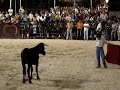 Miudo a tourear parte 2 - GOLEGÃ 2007