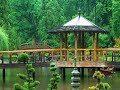 Music Zen Garden