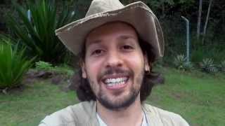 (2ª Temp. / EP. 74): ENCERRAMENTO (Regiões MG / BRASIL)