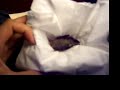 Project Wildlife: Baby Hummingbirds Project Wildlife: Baby Hummingbirds