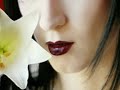 BlutEngel - Lucifer