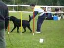 Agility canin 24/06/2007  Jumping