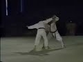 1990 Okinawan Karate ~ Kobudo Festival Demonstrations