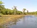 Wakulla Springs Florida
