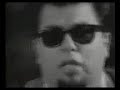 Los Lobos - Shakin', Shakin' Shakes