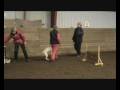 uofficellp31208springapport uofficellp31208springapport