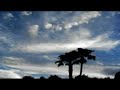 Filter - Trip Like I Do - Spawn - Clouds