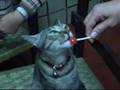 videos de La Pildora Anticonceptiva