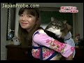 Super fat cat goes on a diet