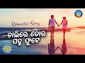 Download Romantic Song Chalire Tora Padma Phute By Kumar Bapi World Music Mp3 Song