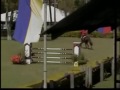 VDL VAMPIRE.wmv