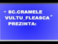 HORA Crama 5.avi