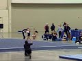 USA Gymnastics Level Seven  (2007 National Judges Cup)