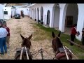 EXCURSIÓN AL ROCÍO 9-4-13 (XII). - YouTube