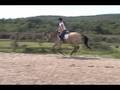videos de EVERGREEN STABLES-- RICCO