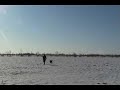 dreadnaugh dime with Flavie(dog).wmv dreadnaugh dime with Flavie(dog).wmv