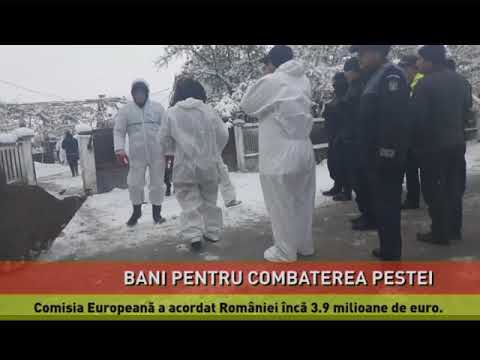 Bani de la Comisia Europeană, pentru combaterea pestei porcine africane