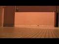 Proceed with Caution - Trailer