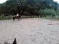 videos de Jumping,, I Will Defeat You ;) Shoulda Never Mentioned Me =]