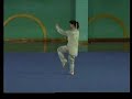 Taijiquan - Example of Optional Taolu