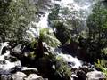 videos de St Columba Falls