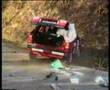 Integrale crashes!
